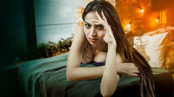 Diary EP3 Hindi Hot Web Series PrimeShots
